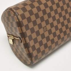 Louis Vuitton Damier Ebene Canvas Ribera MM Bag