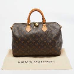 Pre Owned حقيبة لوي فيتون سبيدي باندوليار كانفاس دامييه أيبين 35