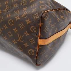 Pre Owned حقيبة لوي فيتون سبيدي باندوليار كانفاس دامييه أيبين 35