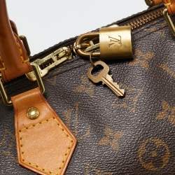 Pre Owned حقيبة لوي فيتون سبيدي باندوليار كانفاس دامييه أيبين 35