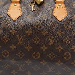 Pre Owned حقيبة لوي فيتون سبيدي باندوليار كانفاس دامييه أيبين 35