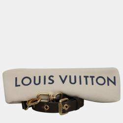 Louis Vuitton Multicolor Monogram Summer Trunk Metis MM Bag