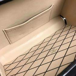 Louis Vuitton  Leather  Petite Malle