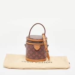 Louis Vuitton Damier Monogram Canvas Pop Cannes Vanity Bag