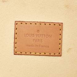 Louis Vuitton Damier Monogram Canvas Pop Cannes Vanity Bag