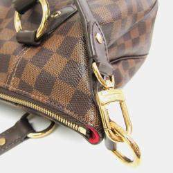 Pre Owned Louis Vuitton Ebene Damier Evora MM Handbag