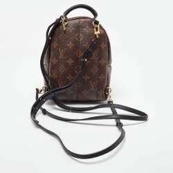 Louis Vuitton Monogram Canvas Mini Palm Springs Backpack