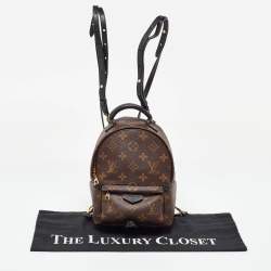Louis Vuitton Monogram Canvas Mini Palm Springs Backpack