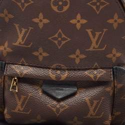 Louis Vuitton Monogram Canvas Mini Palm Springs Backpack