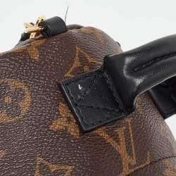 Louis Vuitton Monogram Canvas Mini Palm Springs Backpack