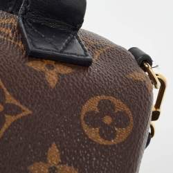 Louis Vuitton Monogram Canvas Mini Palm Springs Backpack