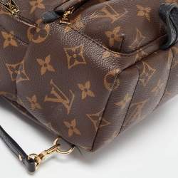 Louis Vuitton Monogram Canvas Mini Palm Springs Backpack