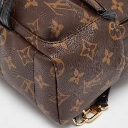 Louis Vuitton Monogram Canvas Mini Palm Springs Backpack