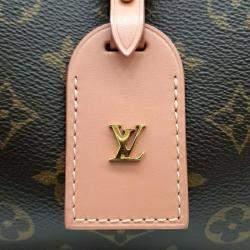 Louis Vuitton Monogram Petite Mal Souffle bag