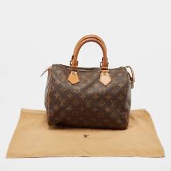 Pre Owned Louis Vuitton Monogram Canvas Speedy 25 Bag