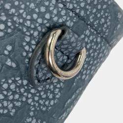 Louis Vuitton gray Taurillon Clece - Climbing Bag