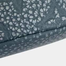 Louis Vuitton gray Taurillon Clece - Climbing Bag