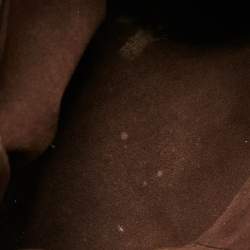 Pre Owned Louis Vuitton Damier Ebene Canvas and Leather Marylebone PM Bag