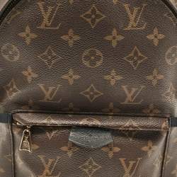 Louis Vuitton Monogram Canvas Palm Springs PM Backpack