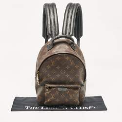 Louis Vuitton Monogram Canvas Palm Springs PM Backpack