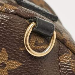 Louis Vuitton Monogram Canvas Mini Palm Springs Backpack