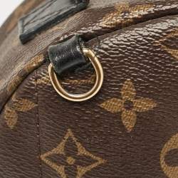 Louis Vuitton Monogram Canvas Mini Palm Springs Backpack