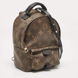 Louis Vuitton Monogram Canvas Mini Palm Springs Backpack