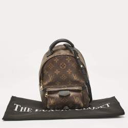 Louis Vuitton Monogram Canvas Mini Palm Springs Backpack