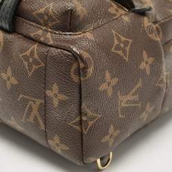 Louis Vuitton Monogram Canvas Mini Palm Springs Backpack