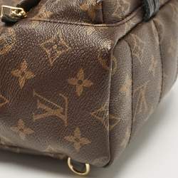 Louis Vuitton Monogram Canvas Mini Palm Springs Backpack