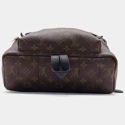 مملوكة مسبقًا Louis Vuitton Monogram Palm Springs Backpack MM