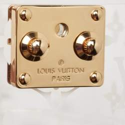 Pre Owned Louis Vuitton Monogram Plexiglass Box Scott 