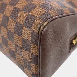 Louis Vuitton Damier Brera Handbag