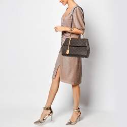 مملوكة مسبقًا حقيبة لوي فيتون كلوني كانفاس مونوغرامي MM