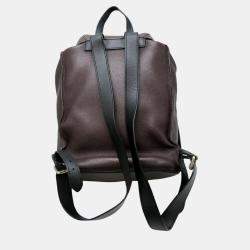 Louis Vuitton Leather Maroon Utah Canyon Backpack