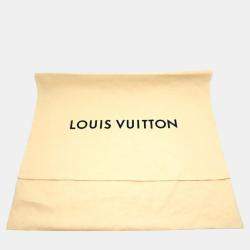 Louis Vuitton Leather Maroon Utah Canyon Backpack