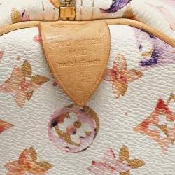 Louis Vuitton Monogram Canvas Watercolor Aquarelle Richard Prince Speedy 35 Bag