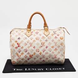 Louis Vuitton Monogram Canvas Watercolor Aquarelle Richard Prince Speedy 35 Bag