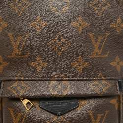 Louis Vuitton Monogram Canvas Mini Palm Springs Backpack