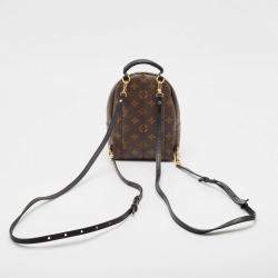 Louis Vuitton Monogram Canvas Mini Palm Springs Backpack