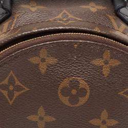 Louis Vuitton Monogram Canvas Mini Palm Springs Backpack