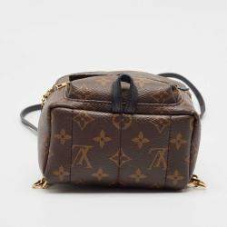 Louis Vuitton Monogram Canvas Mini Palm Springs Backpack