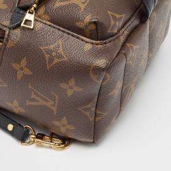 Louis Vuitton Monogram Canvas Mini Palm Springs Backpack