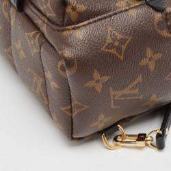 Louis Vuitton Monogram Canvas Mini Palm Springs Backpack