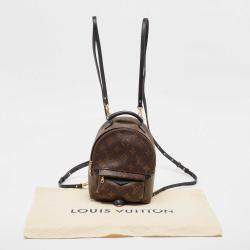 Louis Vuitton Monogram Canvas Mini Palm Springs Backpack