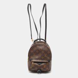 Louis Vuitton Monogram Canvas Mini Palm Springs Backpack