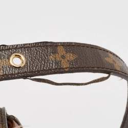 Louis Vuitton Havane Monogram Canvas Eden MM Bag