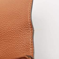 Louis Vuitton Havane Monogram Canvas Eden MM Bag
