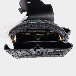 Louis Vuitton Arty Capucines Collection Peter Marino Noir Taurillon Size MM