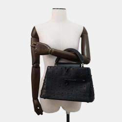 Louis Vuitton Arty Capucines Collection Peter Marino Noir Taurillon Size MM